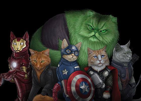 Marvel y los gatos