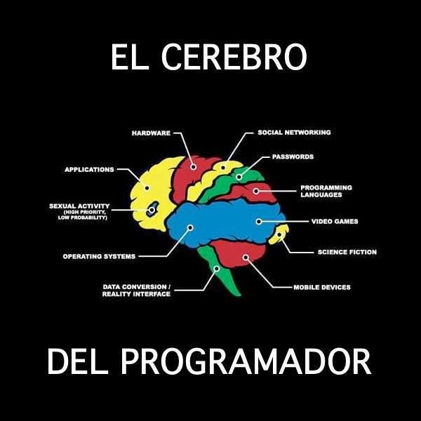 El cerebro del programador