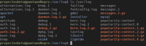 Log file with sudo en Debian Buster (imagen destacada)