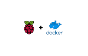 Raspberry Docker (imagen destacada)